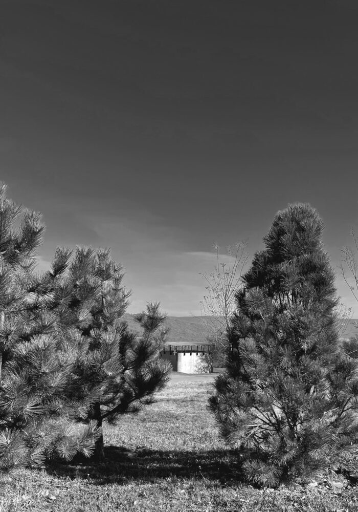 concrete pavilion landcsape view